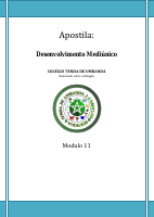 Módulo 11.pdf